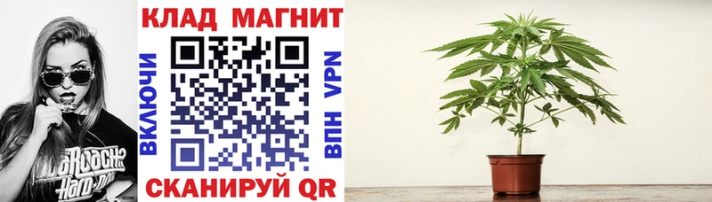 Купить наркотики цена Салехард ГЕРОИН  A PVP  ГАШИШ  Мефедрон  Каннабис  Амфетамин 
